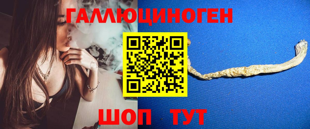 Черняховск  Галлюциногенные грибы MAGIC MUSHROOMS  закладка  Галлюциногенные грибы GOLDEN TEACHER  Вход с VPN 